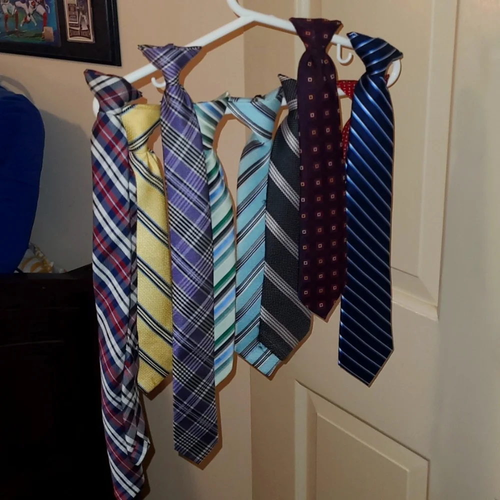 Clip on Ties